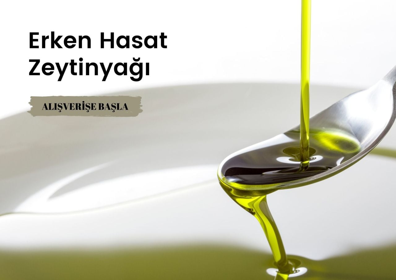 Adrasos hakkında görseli