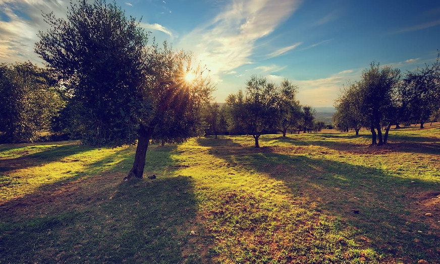 Alaboğaz hakkında görseli