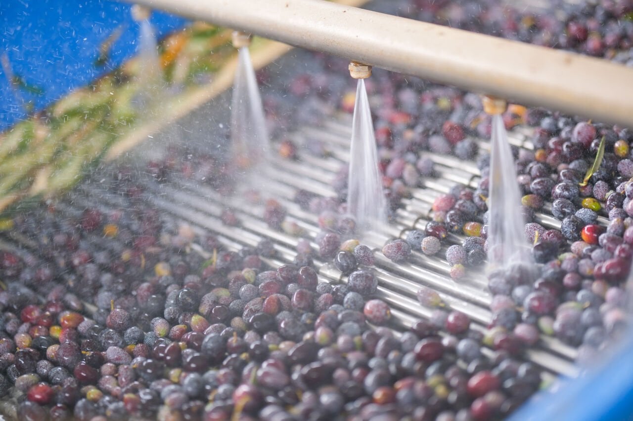 Ali Pekin hakkında görseli