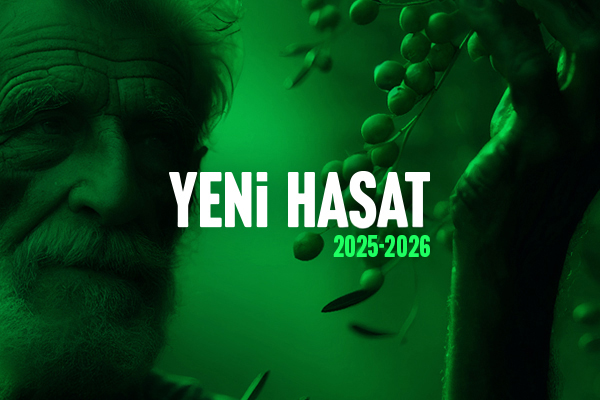 Bella Mordane Arbequina şişe görseli 2