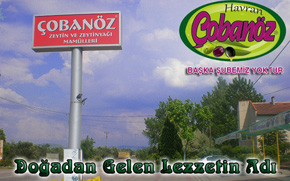 Çobanöz Zeytincilik şişe görseli 1