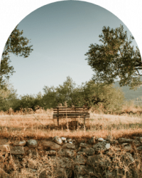 Dalgıçoğlu şişe görseli 1