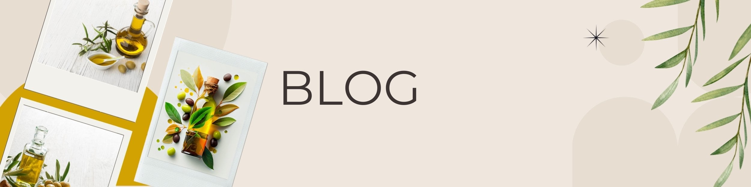 Dizem Organik hakkında görseli