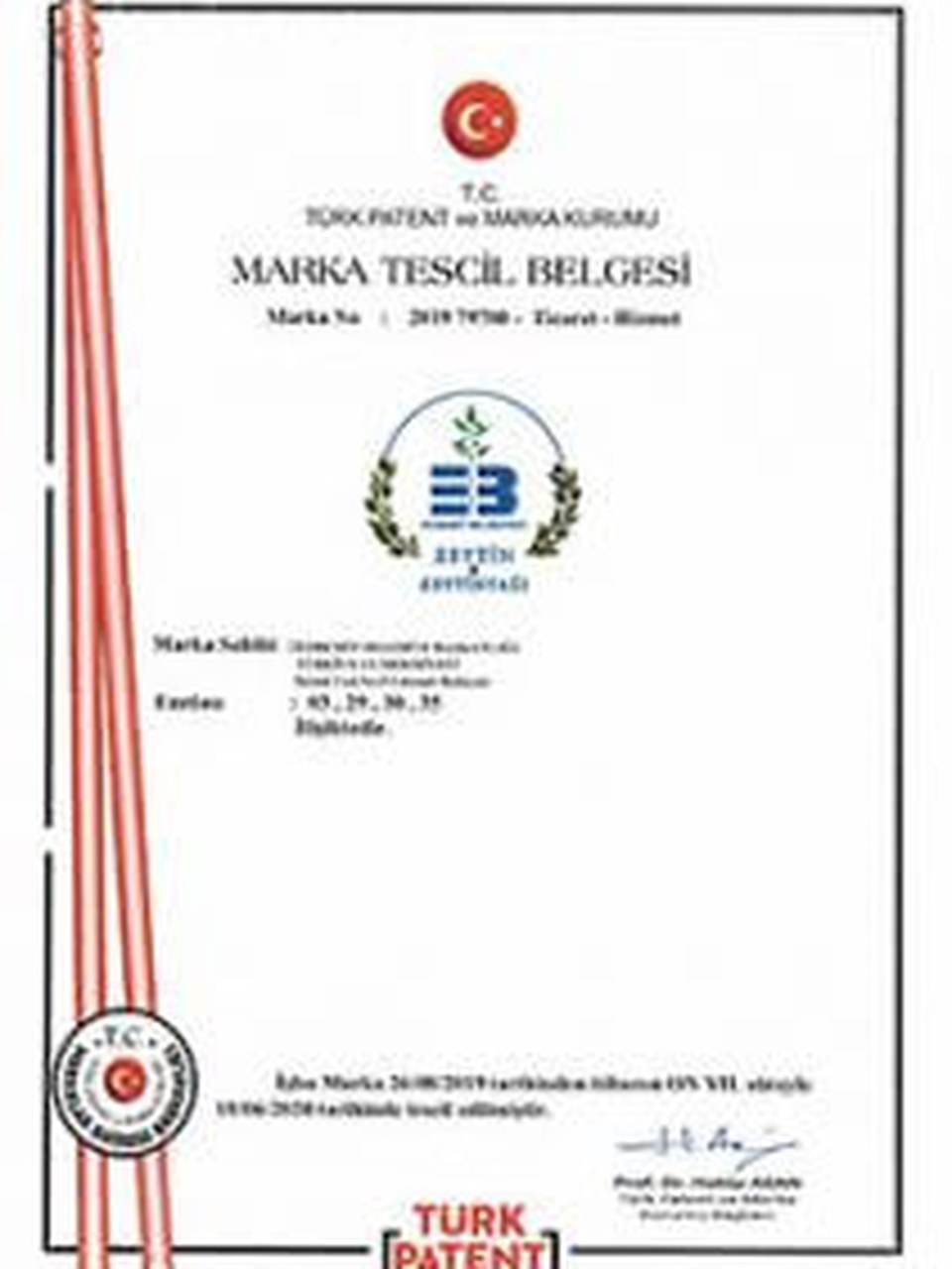 Edremit’in Zeytini şişe görseli 2