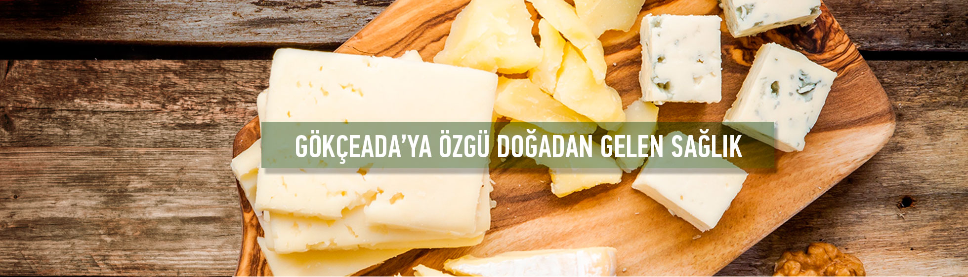 Ekozey hakkında görseli