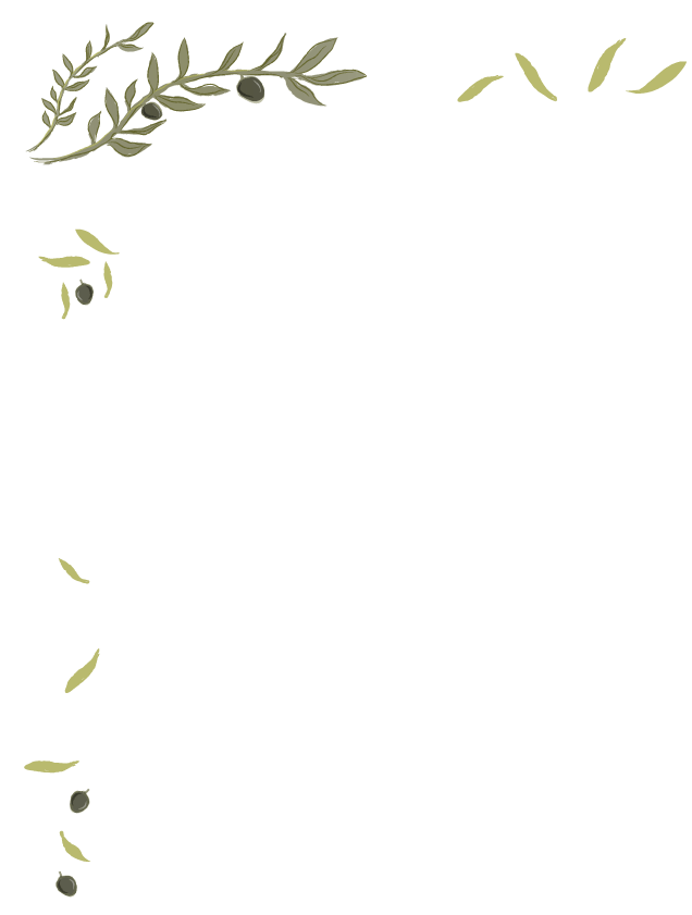 Fora şişe görseli 1