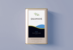 Gallipolive şişe görseli 1