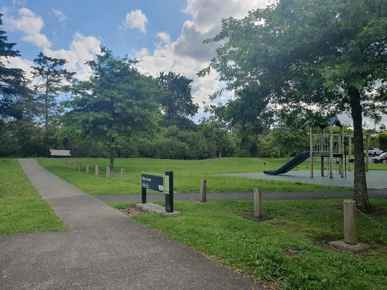 Bursa çevresinde zeytin ağaçları ve doğal görünüm