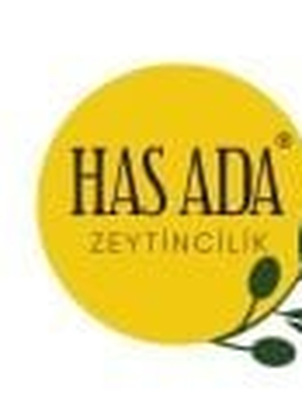 Hasada şişe görseli 2