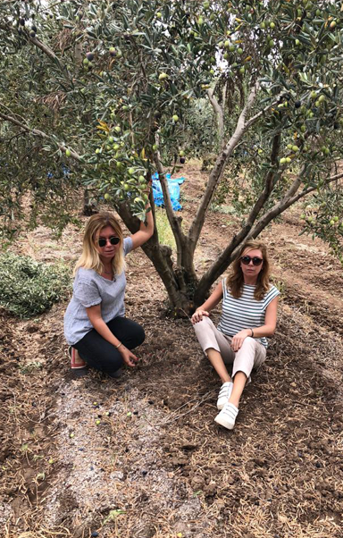 Hellenia hakkında görseli