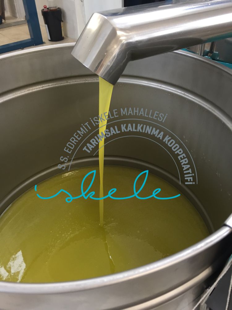 İSKELE KOOPERATİFİ hakkında görseli