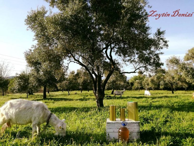 İzmir Birlik şişe görseli 2