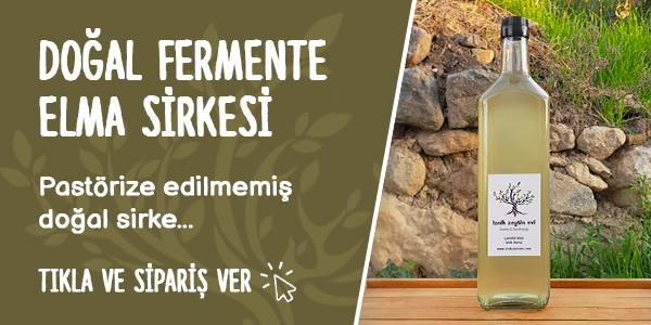 İznik Zeytin Evi hakkında görseli