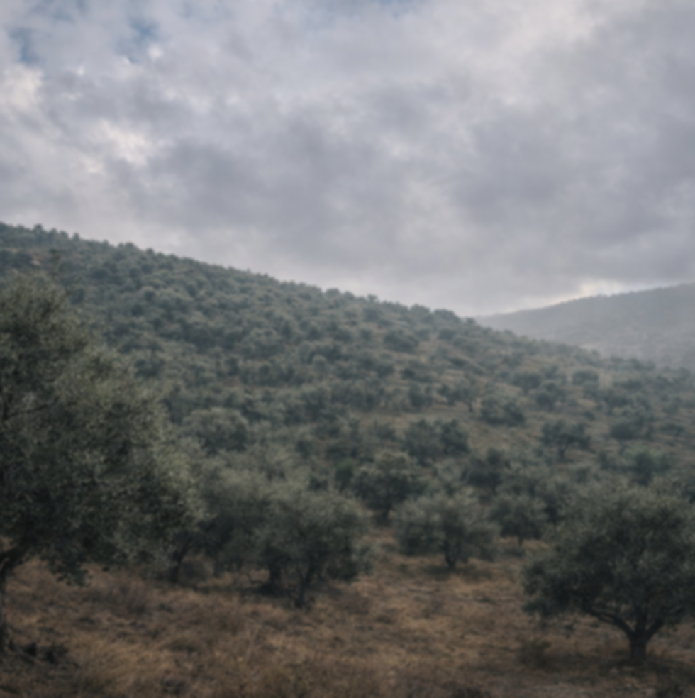 Kaleboğazı hakkında görseli