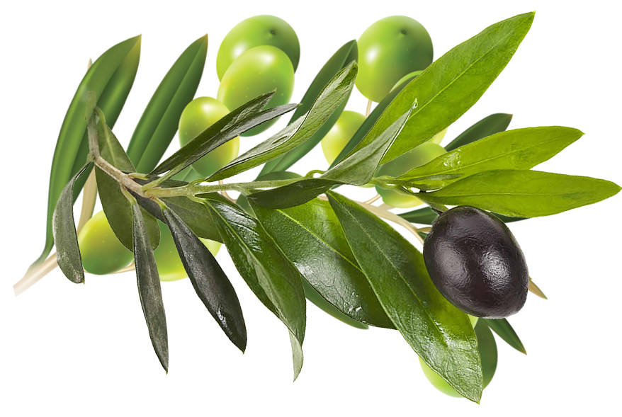 Küçükbahçe hakkında görseli