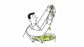 Kudret Zeytinyağları logosu