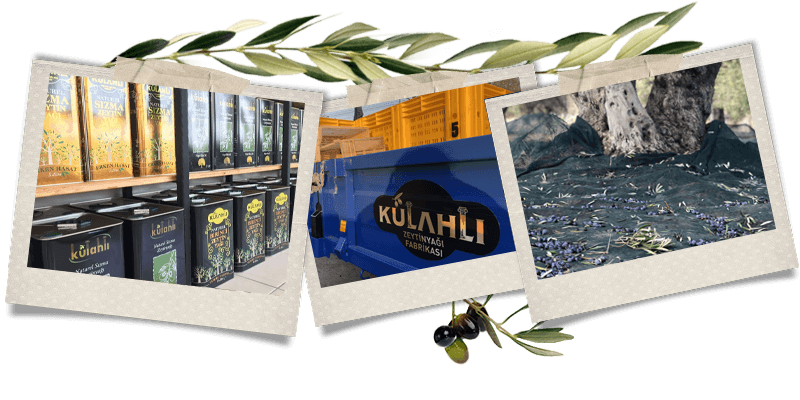 Külahlı Zeytinyağı hakkında görseli