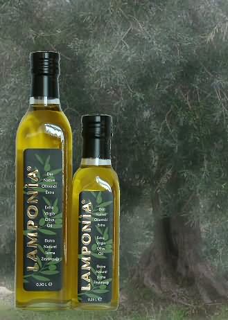 Lamponia şişe görseli 1