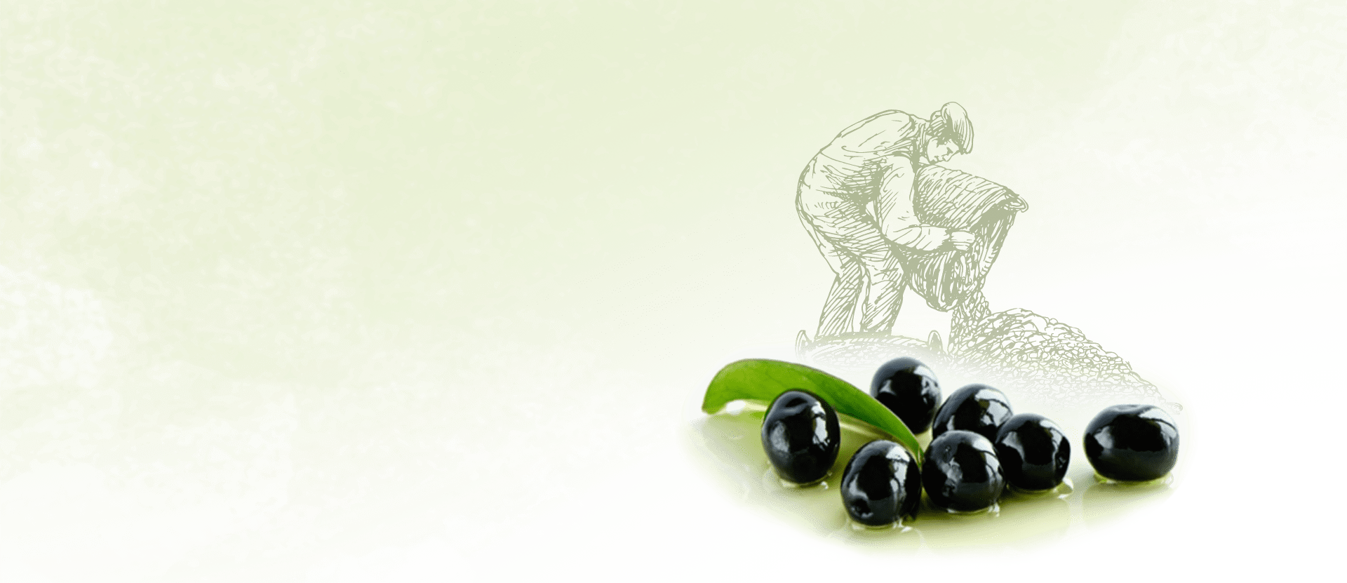 Marmarabirlik hakkında görseli