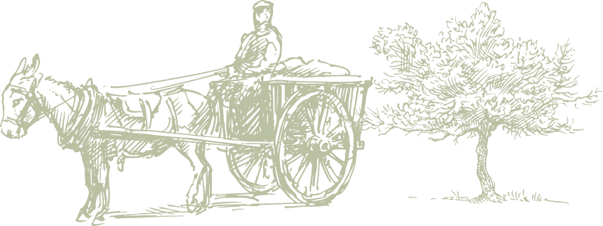 Marmarabirlik hakkında görseli