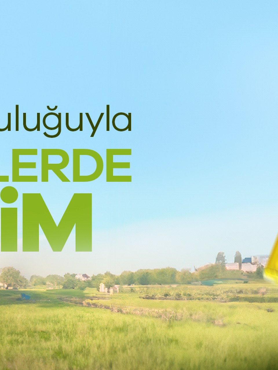 Mirliya şişe görseli 2