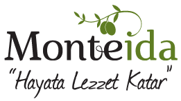 Monteida logosu