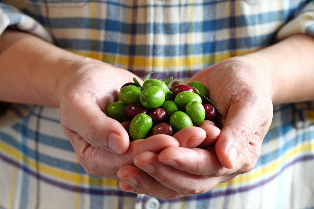 Namlı Zeytinleri şişe görseli 1