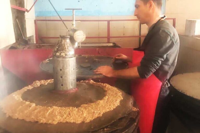 Nish Olive hakkında görseli