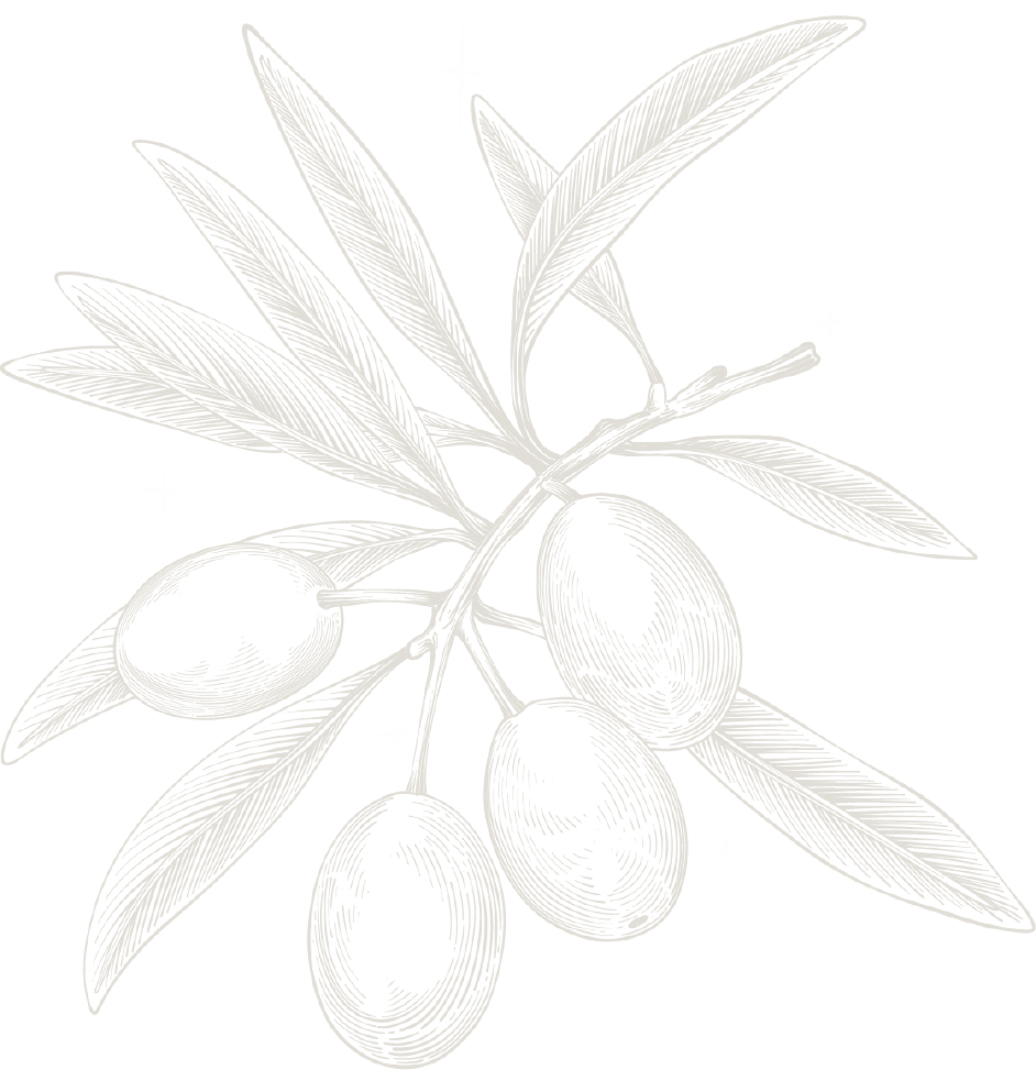 Oliva Troas hakkında görseli