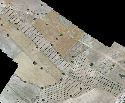 OLIVNER hakkında görseli