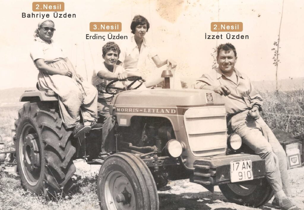 On7 Zeytinyağı hakkında görseli