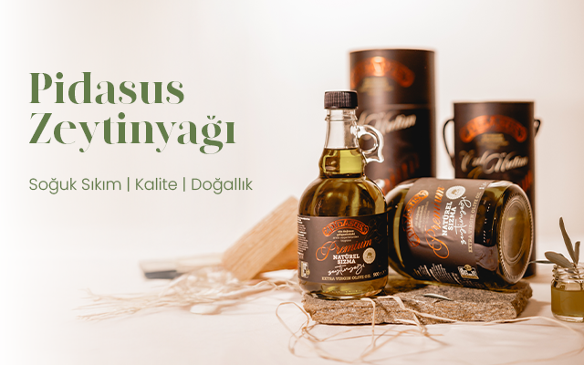 Pidasus hakkında görseli