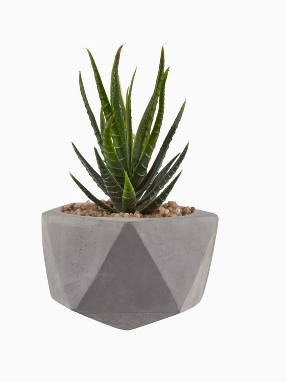 Plantgarde şişe görseli 2