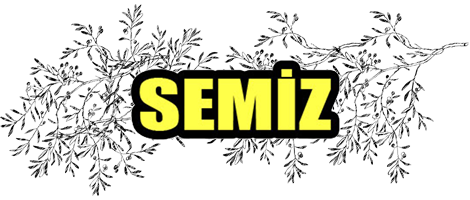 Semiz Zeytin logosu