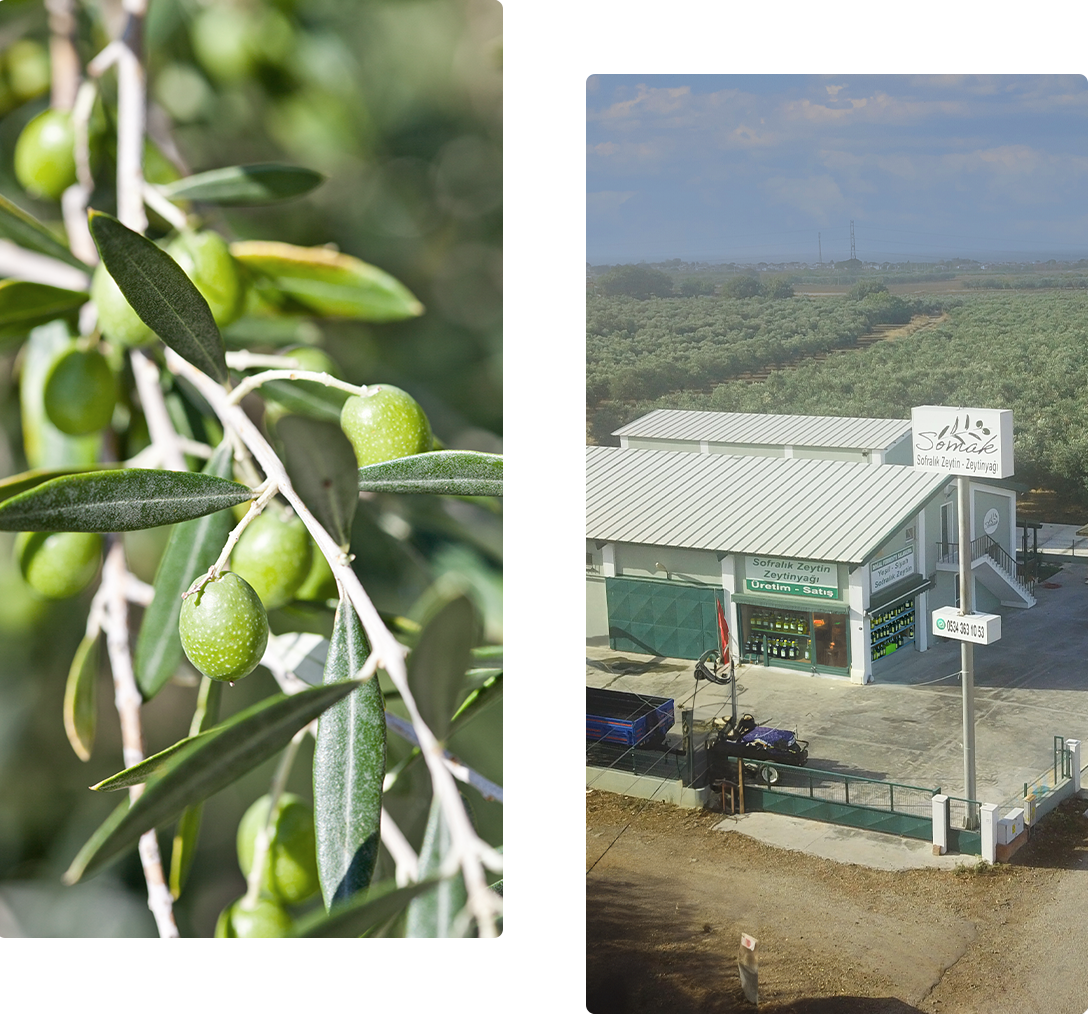 Somak hakkında görseli