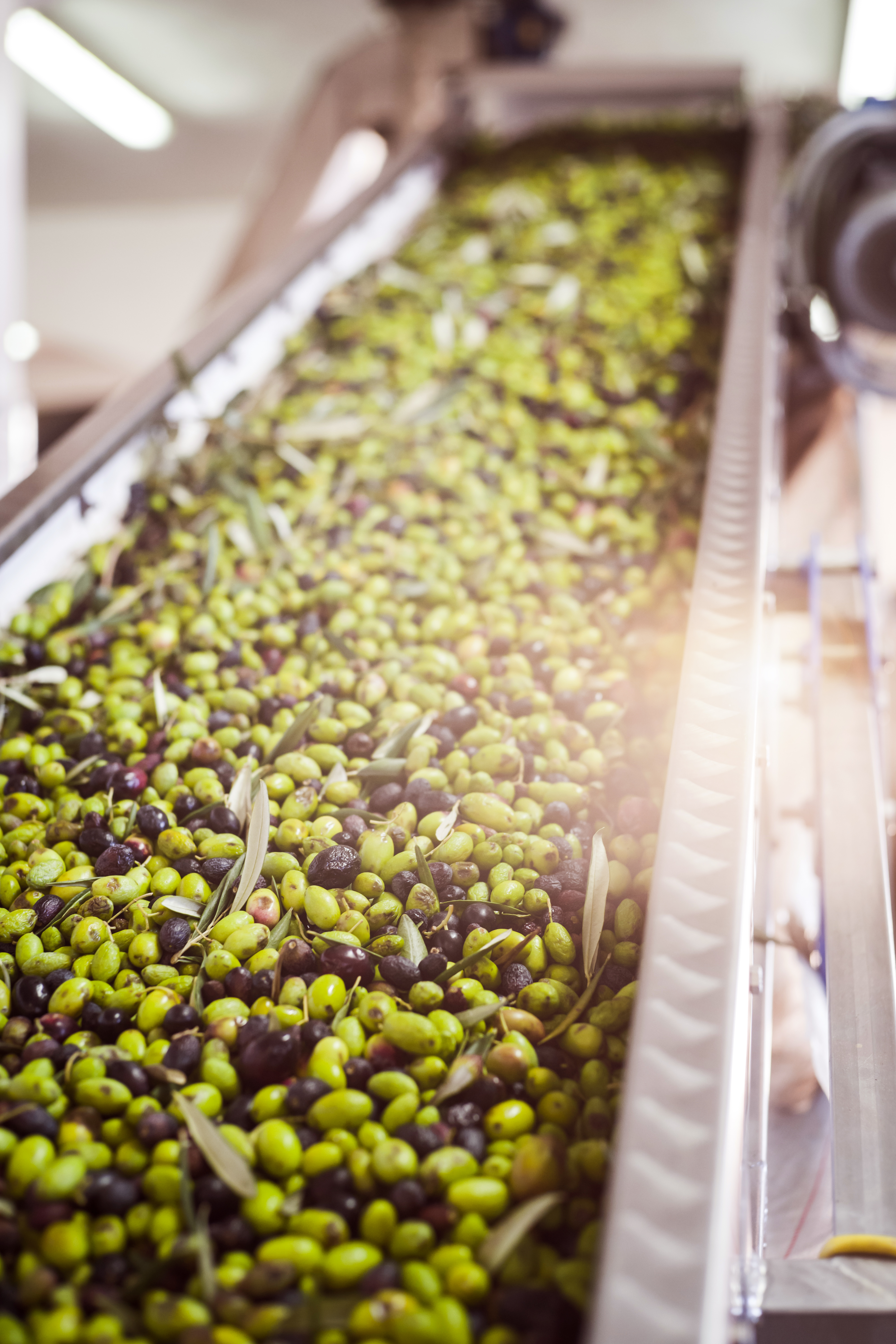 Tuay hakkında görseli