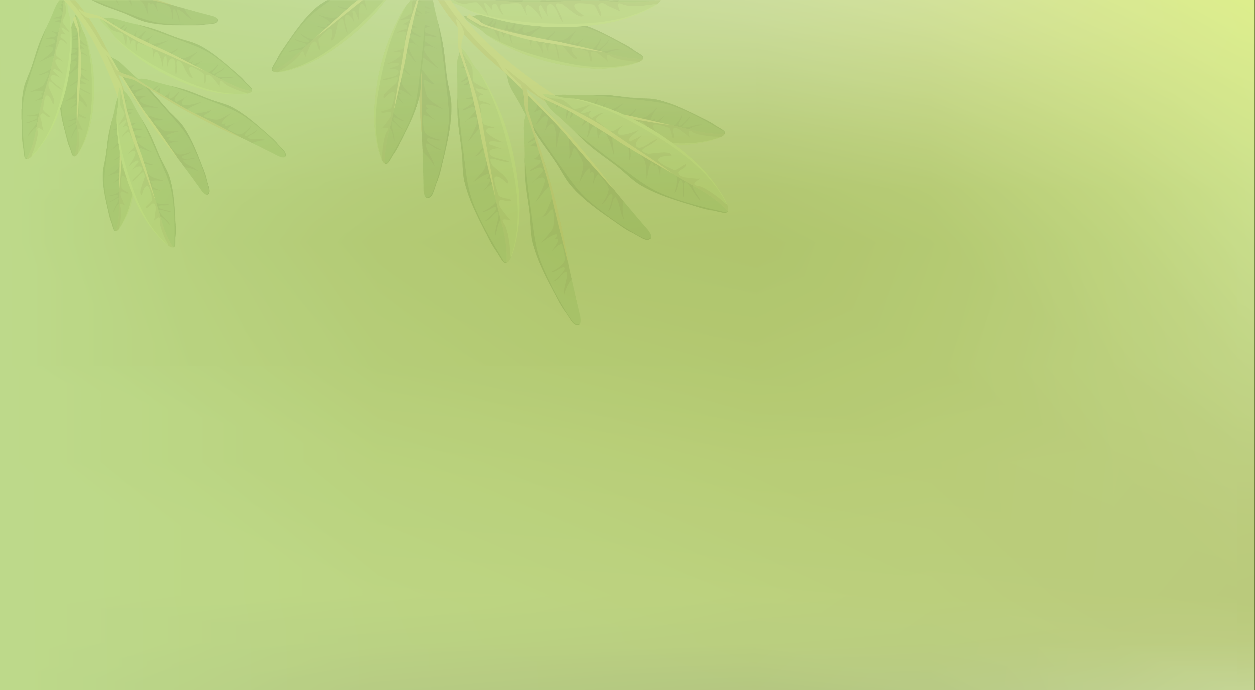 Yasemin Hanım Zeytinyağları hakkında görseli