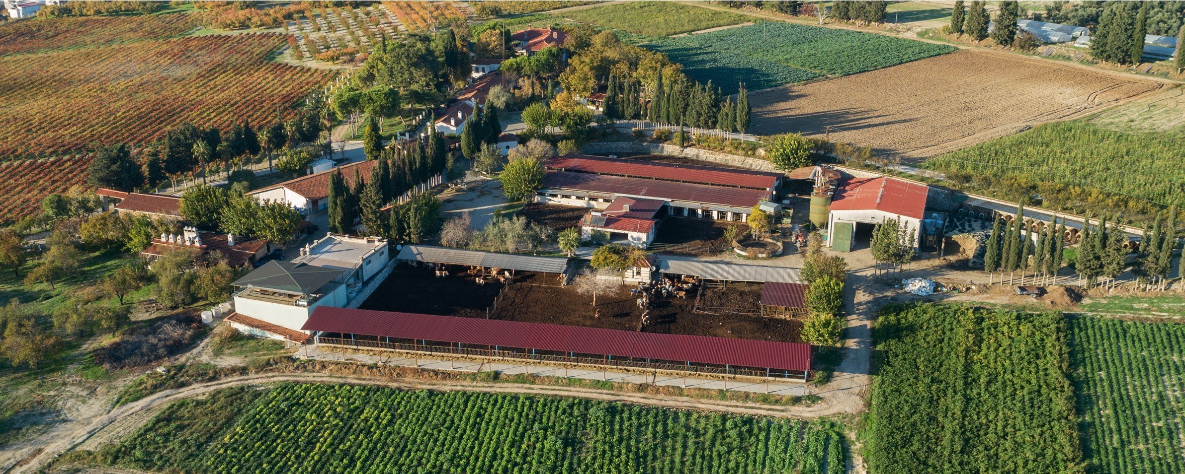 Yerlim hakkında görseli