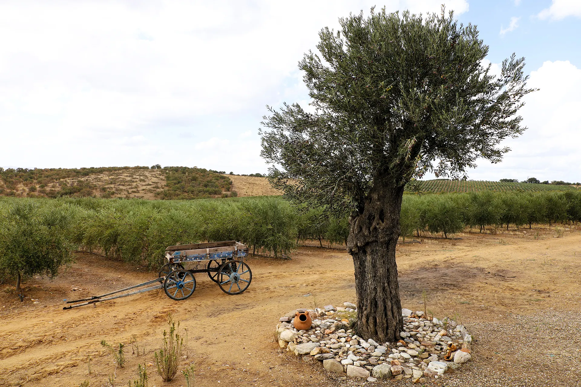 Zagoda hakkında görseli