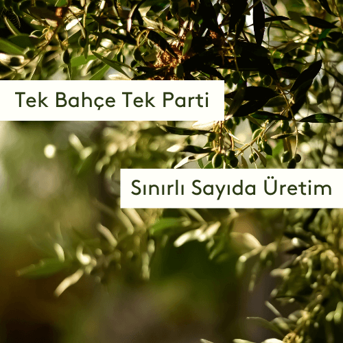 Zest Ayvalık hakkında görseli