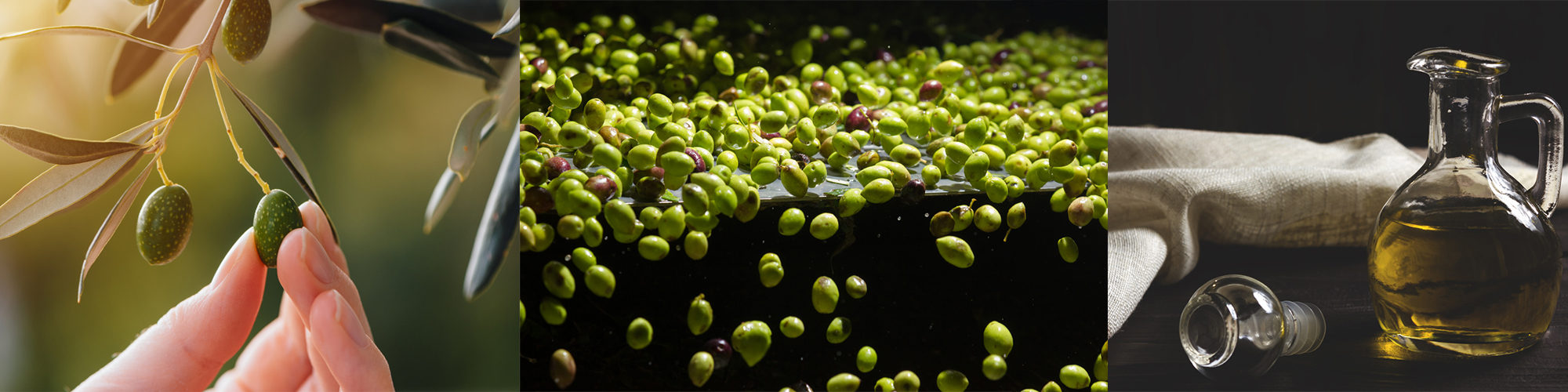 Zetay hakkında görseli